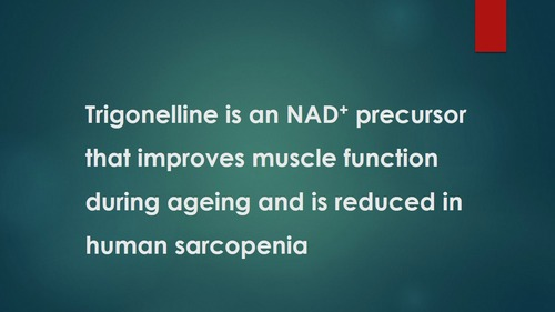 Trigonelline is an NAD+ precursor that improves muscle function during ageing and is reduced in human sarcopenia